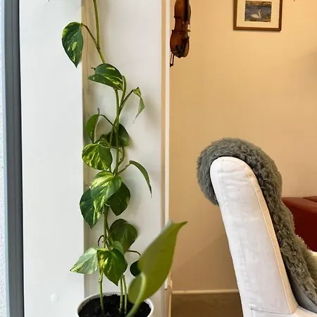 Pikku Flora *